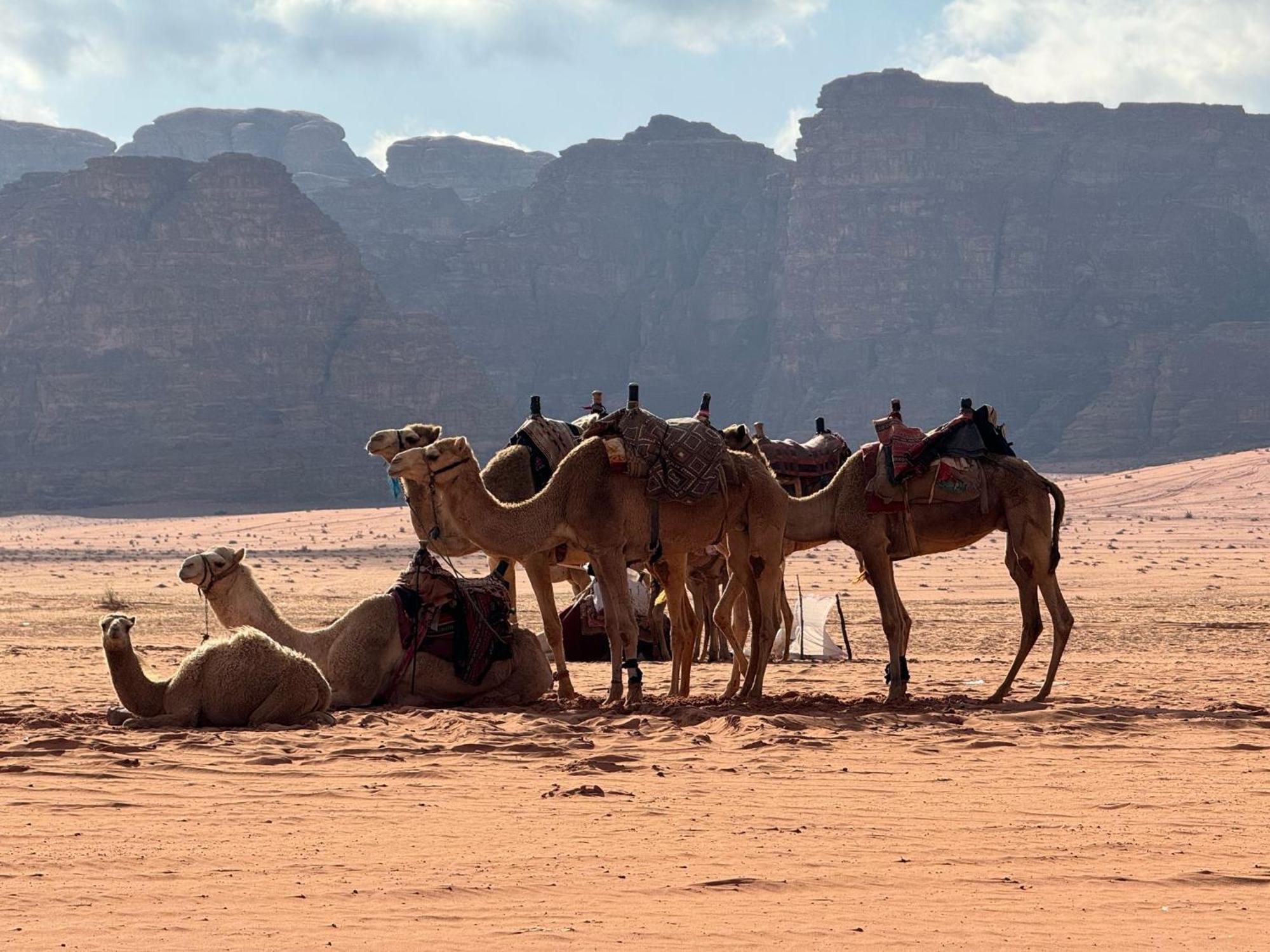Sunrise Luxury Camp Hotel Wadi Rum Ngoại thất bức ảnh